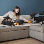 Tinggal di Apartemen dengan Hewan Peliharaan? Yuk Ikuti Beberapa Hal Penting di Bawah Ini Tinggal di Apartemen dengan Hewan Peliharaan? Yuk Ikuti Beberapa Hal Penting di Bawah Ini